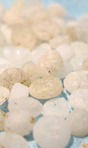 Microplastics