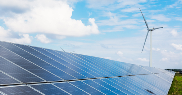 Wind turbine and solar array