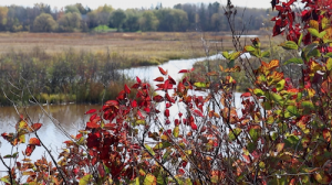 Nemadji River