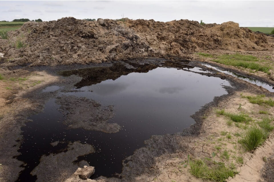 standing water with a manure pile