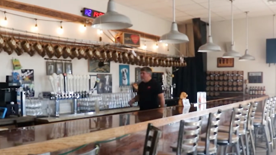 Dan talking about how they use solar panels at bare bones brewery