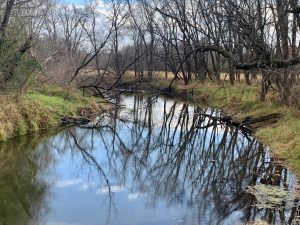 Koshkonong Creek near Cambridge, Wis.