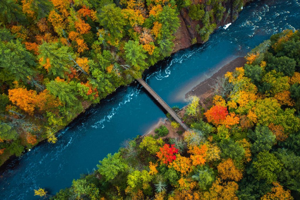 Ariel view of a river flowing through a forest in autumn, with a bridge crossing the river