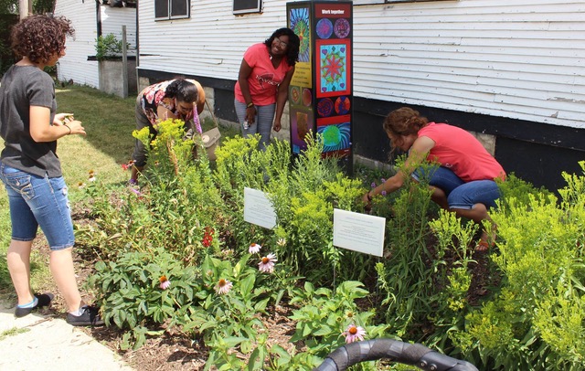 Four female Milwaukee community members working in a rain garden