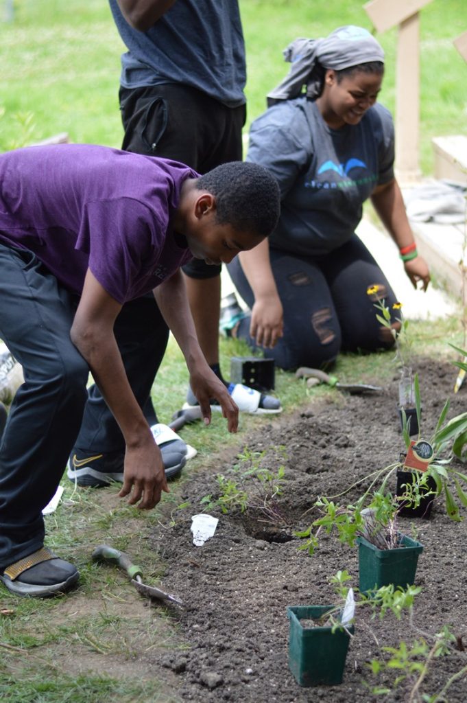 People in a Milwaukee community planting a rain garden together