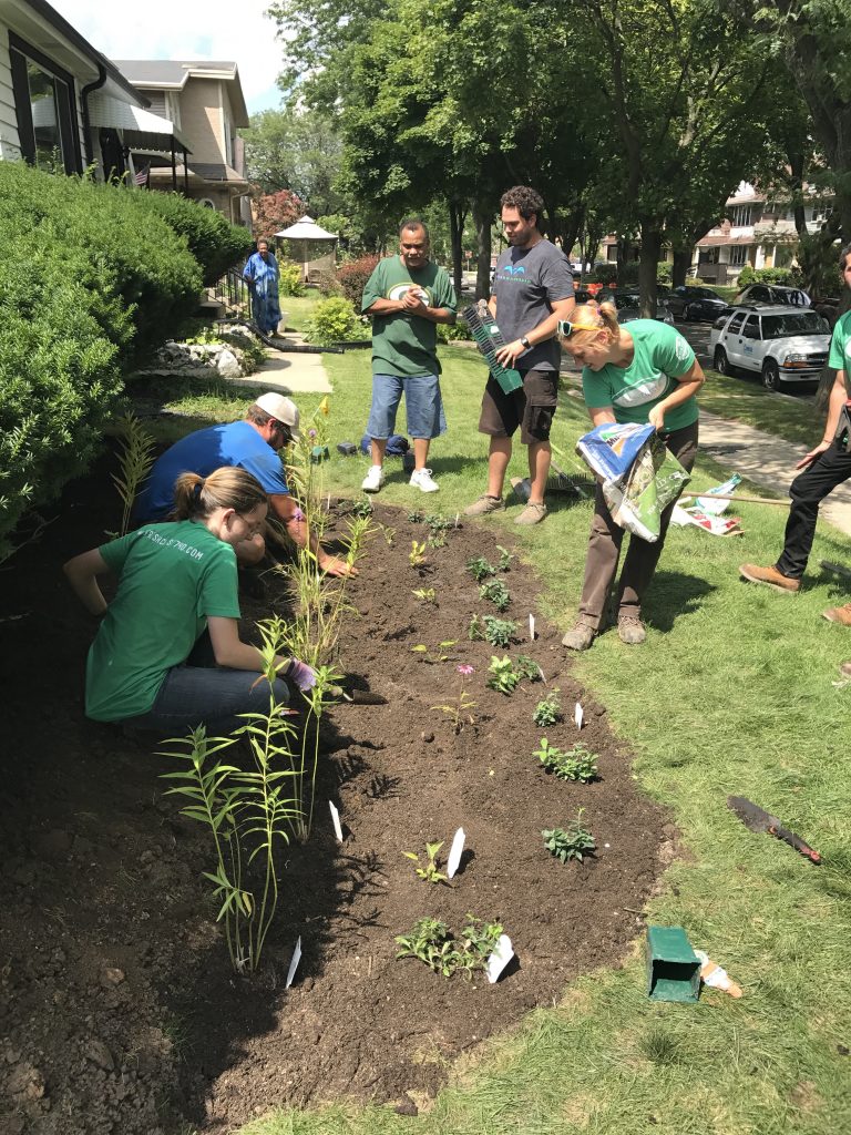 Community members in Milwaukee Wisconsin work together to plant a rain garden in a neighborhood front yard