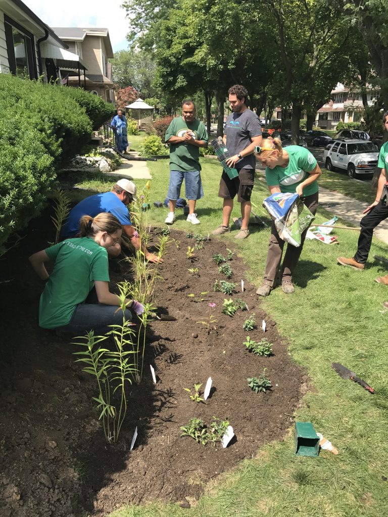 Community members in Milwaukee Wisconsin work together to plant a rain garden in a neighborhood front yard