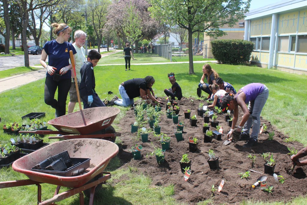 Volunteers, children and community members in Milwaukee, Wisconsin plant gardens in front of an elementary school