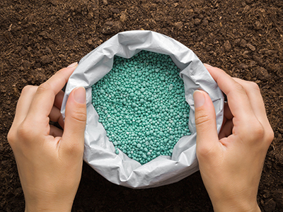Young adult woman hands holding opened plastic bag with green complex fertiliser granules on dark soil background. Closeup. Product for root feeding of vegetables, flowers and plants. Top down view.