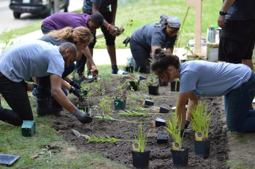 People working together to plant a garden