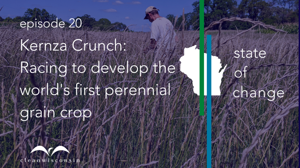State of Change episode 20, Kernza Crunch: Racing to develop the world's first perennial grain crop