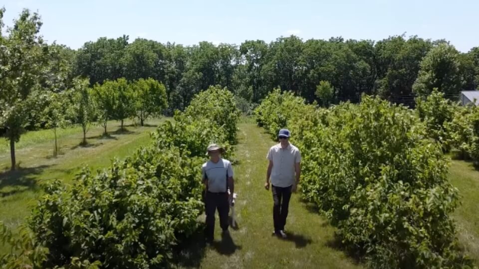 farmers walking through an orchard
