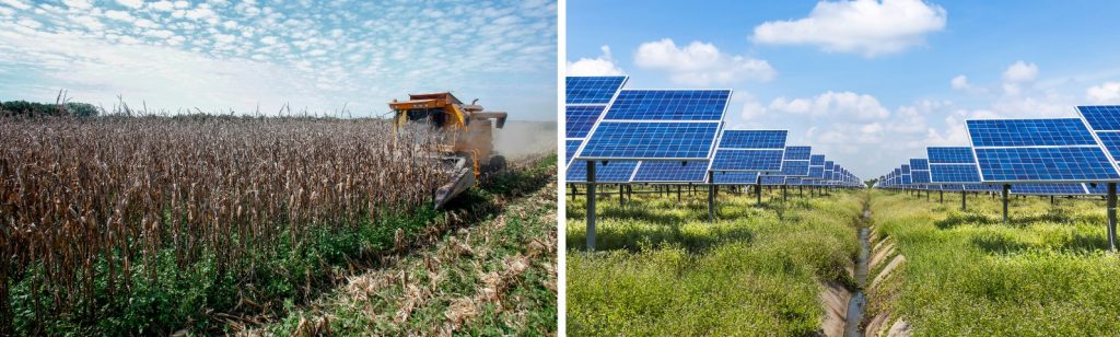 Image of corn harvest and solar farm