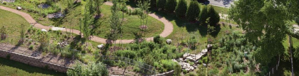 This photo features several green infrastructure practices on the grounds of Maryland Avenue Montessori School in Milwaukee, including a rain garden, bioswale, and infiltration basin.