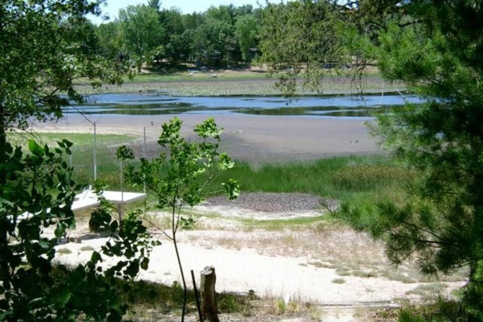 a lake as seen through forest foliage