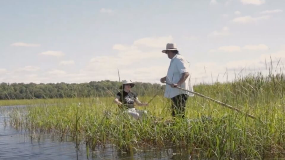Philomena Kebec harvests wild rice in the Kakagon Sloughs