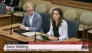 Sara Walling testifying. Image courtesy WisEye.org.