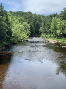 The Bad River in northern Wisconsin, which flows into Lake Superior. Photo: Clean Wisconsin