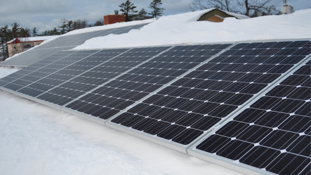 A row of solar panels