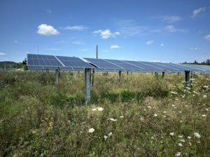 Wisconsin solar farm with pollinator habitat. Photo: Clean Wisconsin