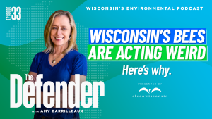 Episode 33: Wisconsin’s bees are acting weird. Here’s why.