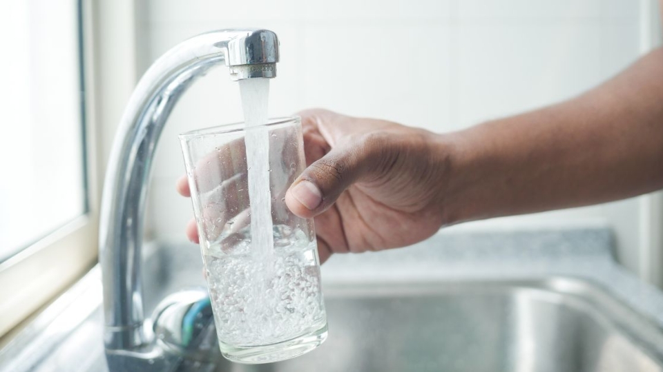 person filling up a glass of water at a sink