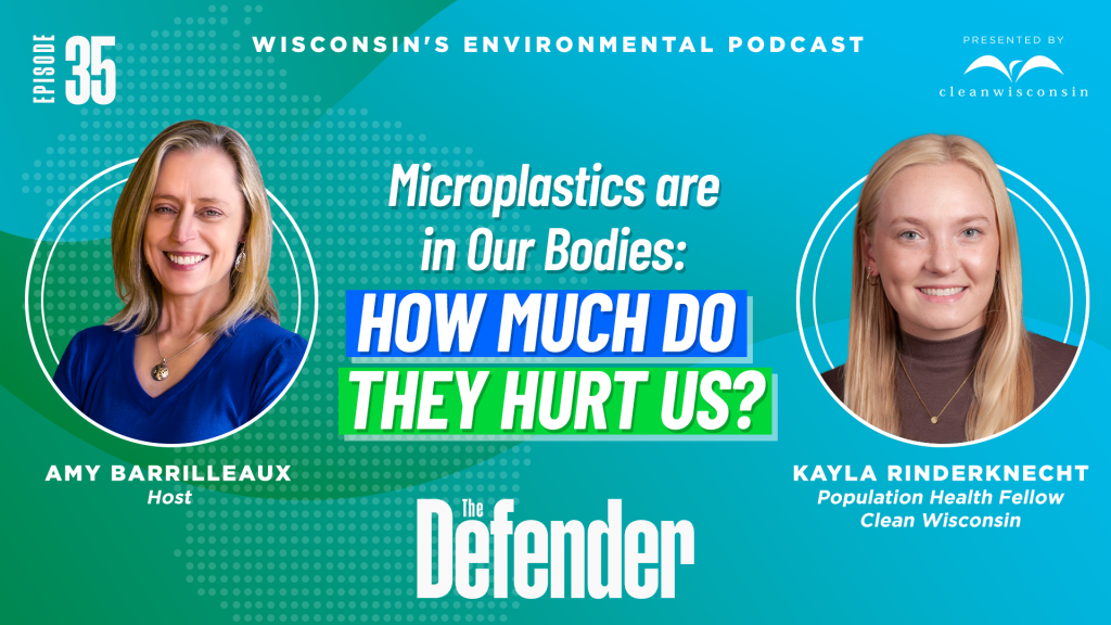 Microplastics in our Bodies graphic, Amy Barrilleaux and Kayla Rinderknecht