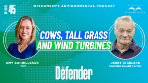 Episode 45: Cows, Tall Grass & Wind Turbines