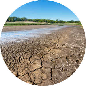 Dried up earth along a river bed during a drought