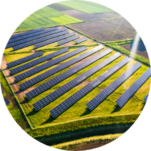 A farm field filled with solar panels