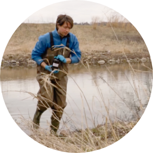 A scientist collects water samples from a wetland area