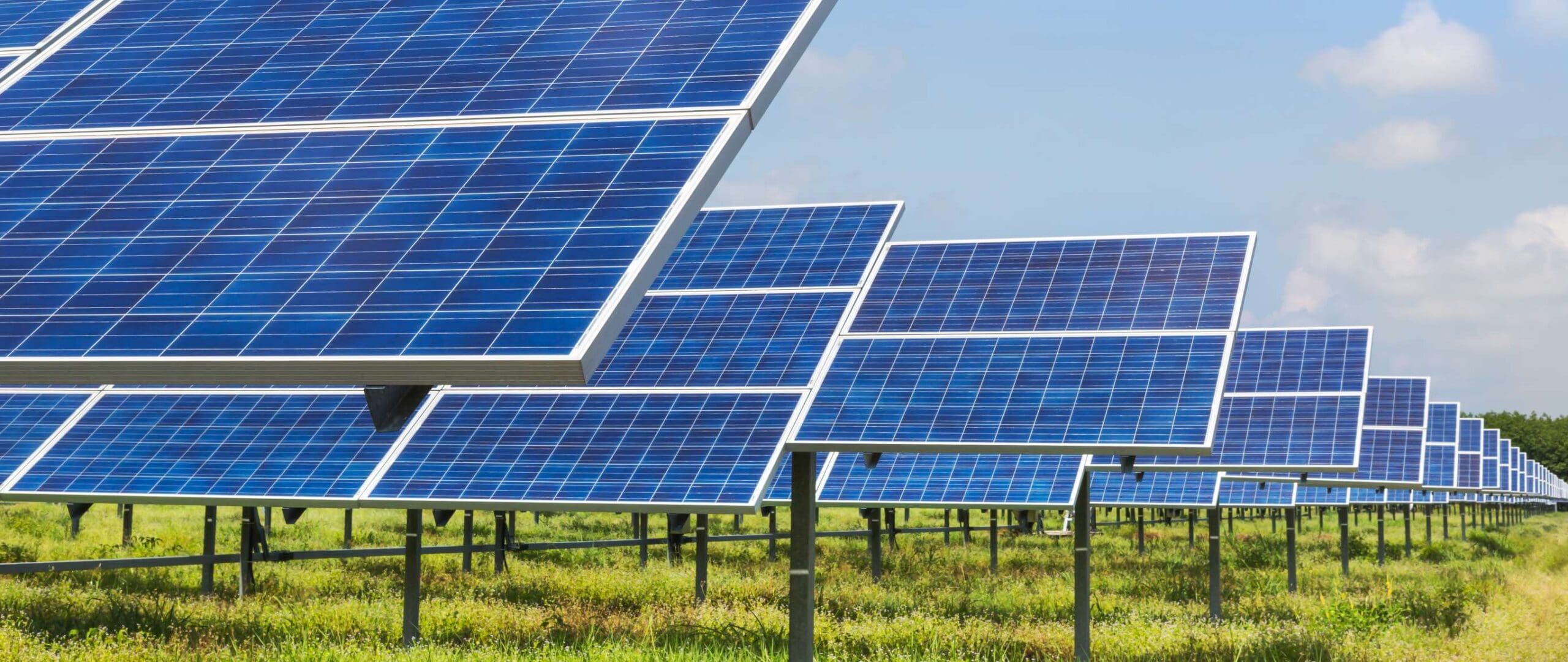 A line of solar panels with a blue sky and green grass