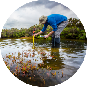 A scientist testing water in a wetland area