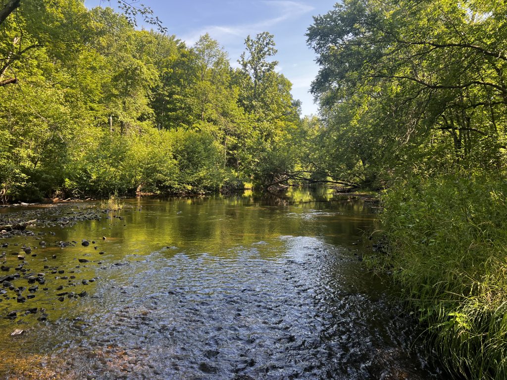 Section of the Potato River where the Line 5 oil pipeline would be built in northern Wisconsin. Photo: Clean Wisconsin