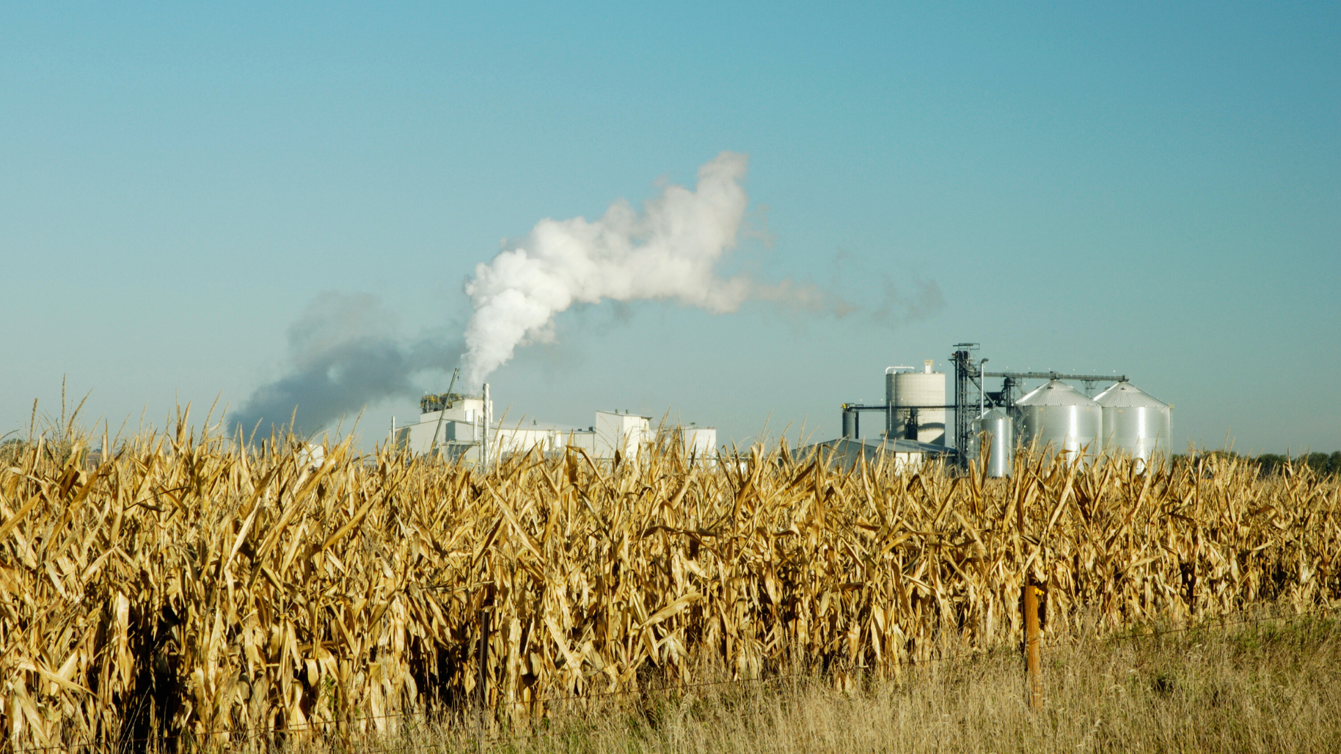 Ethanol plant near corn field